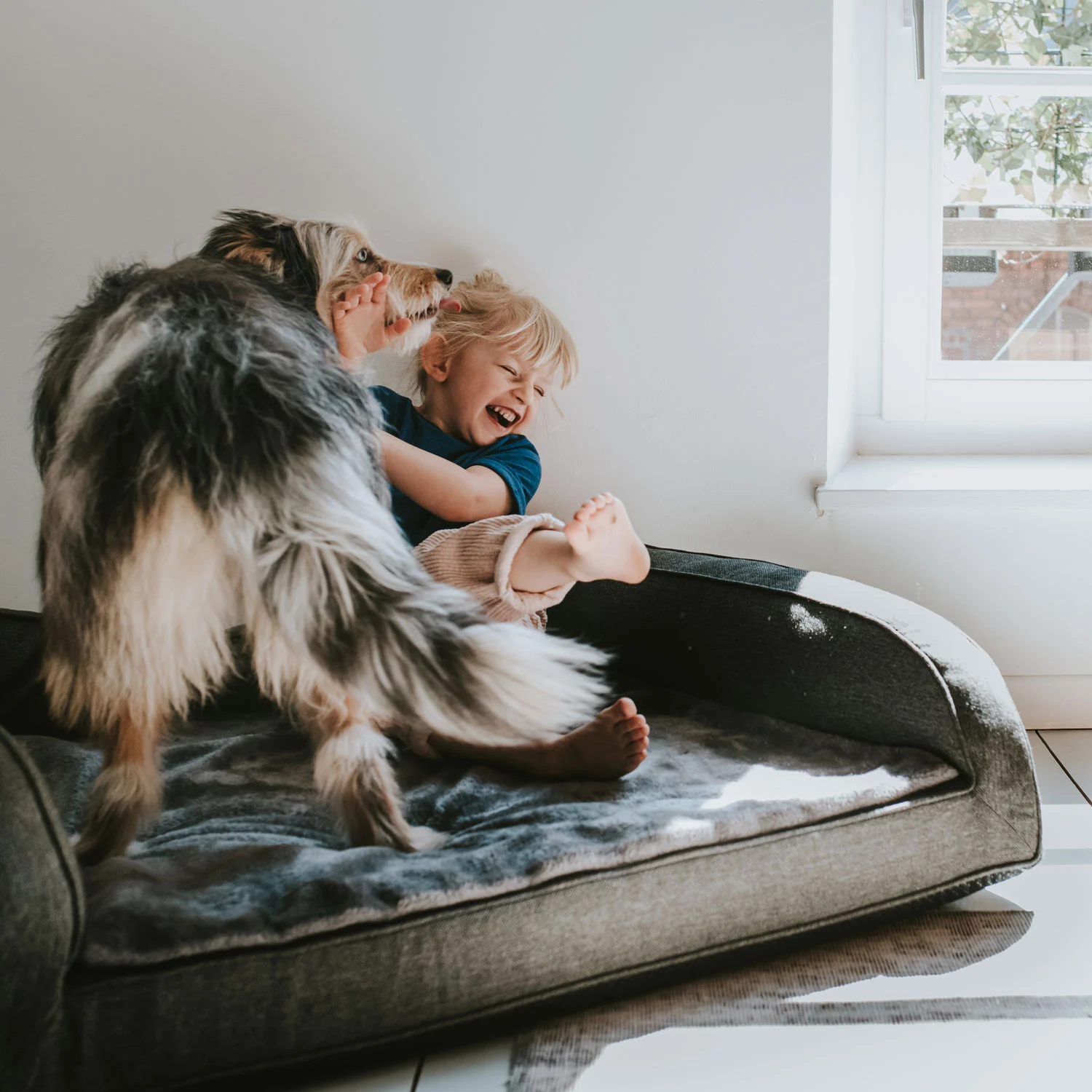 Hunter ortopædisk hundesofa Livingston Large 100 x 80 cm Antracit
